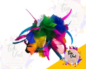 Foto de ARRANJO DE PENAS - CARNAVAL / NÃO ACOMPANHA VASO