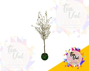 Foto de ÁRVORE MÉDIA CEREJEIRA BRANCA