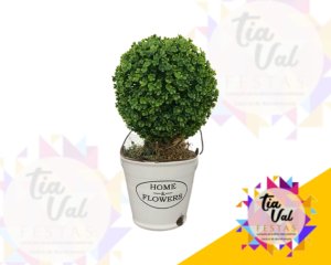 Foto de BONSAI C/ VASO BRANCO HOME FLOWERS