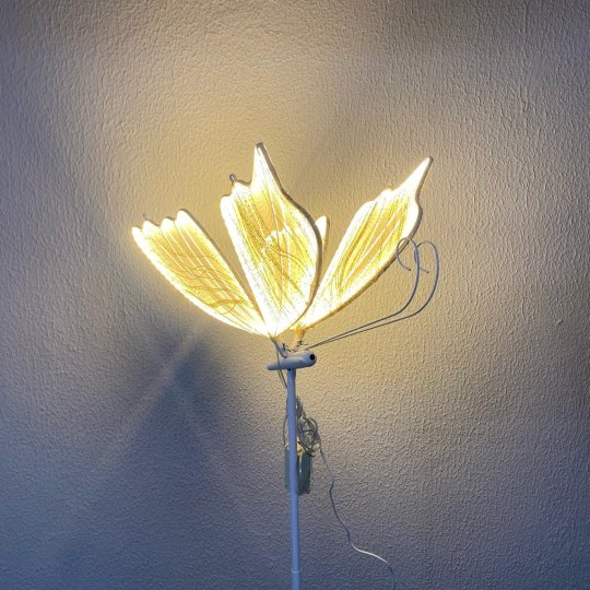 BORBOLETA LED GRANDE