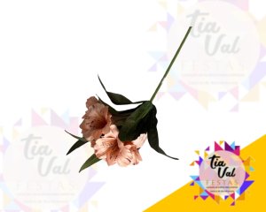 Foto de BUQUÊ ASTROMELIA - ROSA SECO - 25 CM