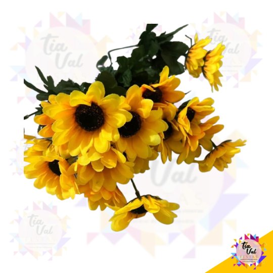 BUQUE GIRASSOL 