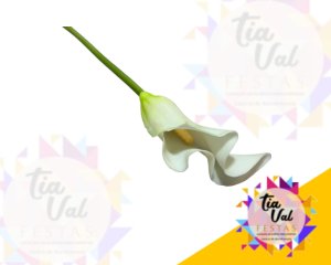 Foto de HASTE COPO DE LEITE - CALLA UNICA BRANCA 63 CM - FOLHAGEM ***