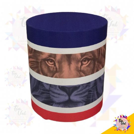 CAPA  FORTALEZA P/ CILINDRO MEDIO FUTEBOL