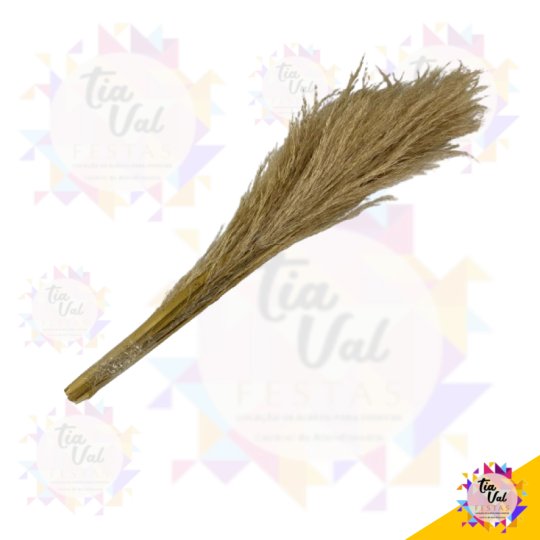 CAPIM DOS PALMAS (ARRANJO MEDIO)