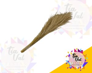 Foto de CAPIM DOS PALMAS (ARRANJO MEDIO)