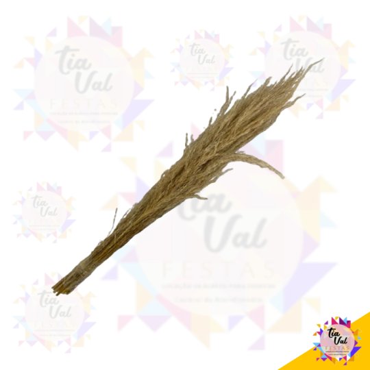 CAPIM DOS PALMAS ((((ARRANJO PEQUENO)) 40 CM