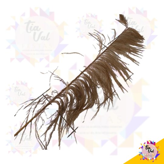 CAPIM DOS PAMPAS GRANDE 1,70M