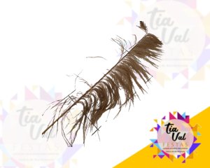 Foto de CAPIM DOS PAMPAS GRANDE 1,70M