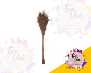 Foto de CAPIM - MAÇO