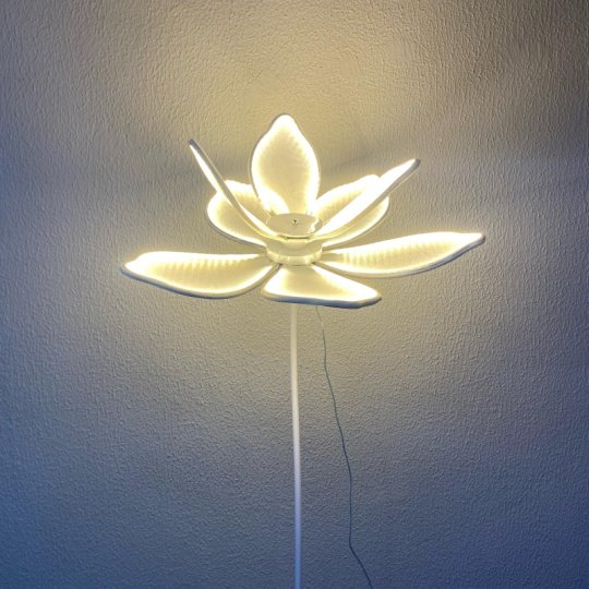 FLOR LED - MEDIA