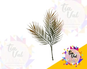 Foto de FOLHA DE PALMEIRA COLORIDA