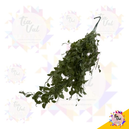 FOLHAGEM COMPRIDA - FOLHA REDONDA - CLARA