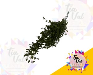 Foto de FOLHAGEM COMPRIDA - FOLHA REDONDA - ESCURA