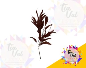 Foto de GALHO DE EUCALIPTO VINHO