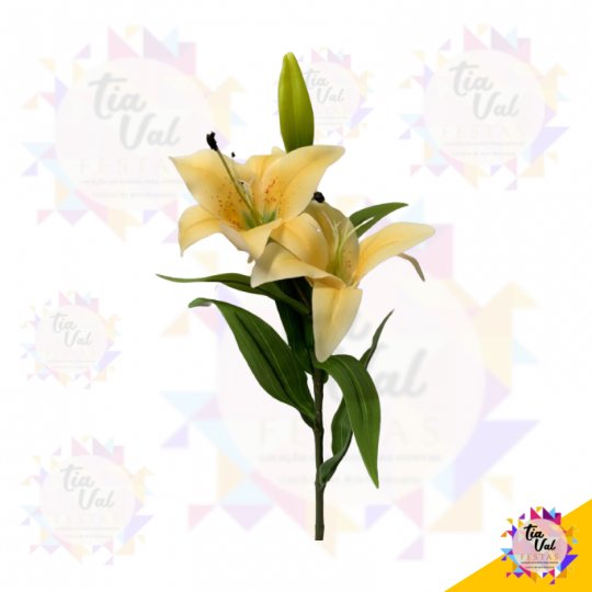 GALHO DE LÍRIO AMARELO