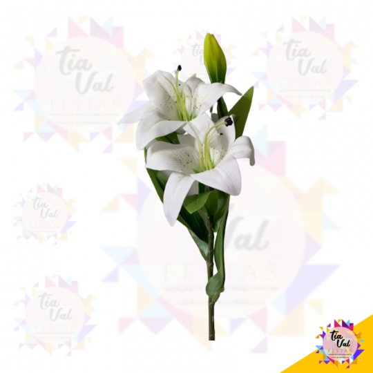 GALHO DE LÍRIO BRANCO