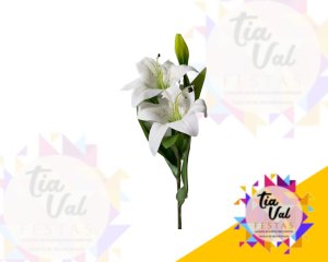 Foto de GALHO DE LÍRIO BRANCO