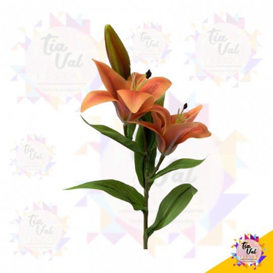 GALHO DE LÍRIO LARANJA