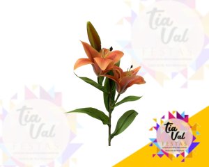 Foto de GALHO DE LÍRIO LARANJA