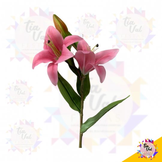 GALHO DE LÍRIO ROSA