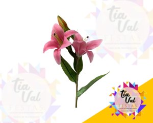 Foto de GALHO DE LÍRIO ROSA