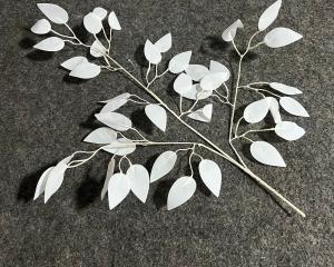 Foto de GALHO FICUS BRANCO - FOLHAGEM