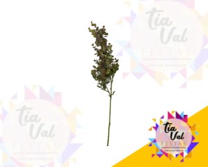 Foto de GALHO FOLHAGEM