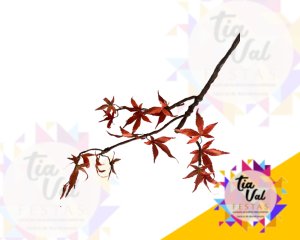 Foto de GALHO OUTONAL  - 60 CM