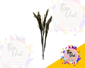 Foto de GALHO - FOLHAGEM