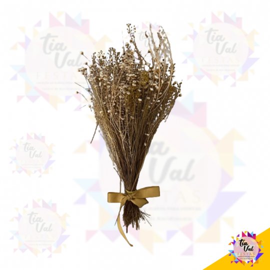 GIPSOFILA DESIDRATADA