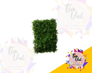 Foto de GRAMA ((MAIS DETALHADA) 60 X 43