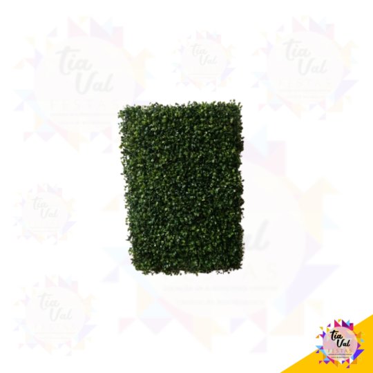 GRAMA SIMPLES 60 X 43