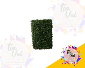 Foto de GRAMA SIMPLES 60 x 43