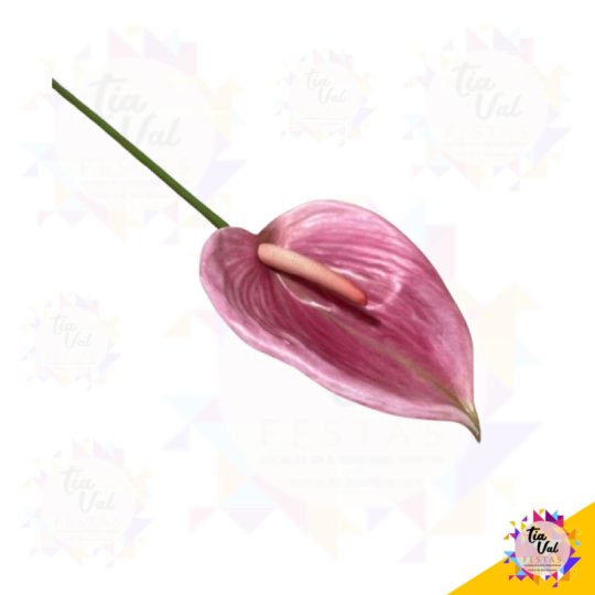 HASTE ANTURIO ROSA 86 CM - FOLHAGEM  ***