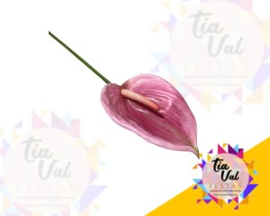 Foto de HASTE ANTURIO ROSA 86 CM - FOLHAGEM  ***