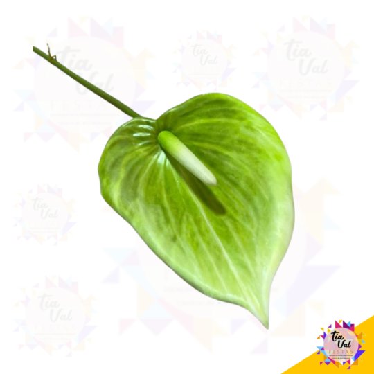 HASTE ANTURIO VERDE CLARO 86 CM - FOLHAGEM  ***