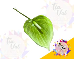 Foto de HASTE ANTURIO VERDE CLARO 86 CM - FOLHAGEM  ***