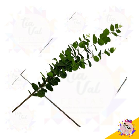 HASTE EUCALIPTO - GRANDE - 90 CM 