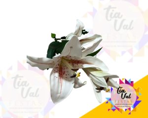 Foto de HASTE LIRIO BRANCO 87 X 3  - FOLHAGEM 
