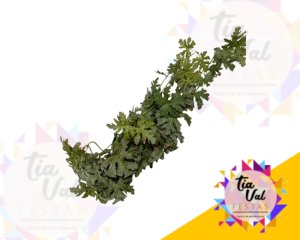 Foto de HASTE FOLHAGEM PARREIRA - MESCLADA - 65 CM
