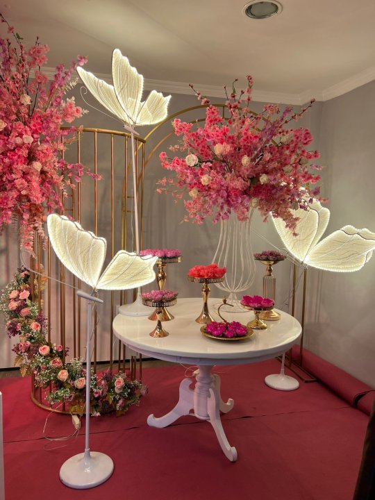 INSPIRAÇÃO ROSA - BORBOLETA