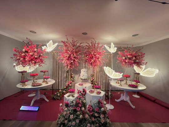 INSPIRAÇÃO ROSA - BORBOLETA