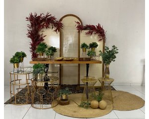 Foto de INSPIRAÇÃO DOURADO - DOURADA