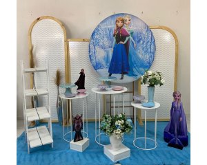 Foto de INSPIRAÇÃO FROZEN