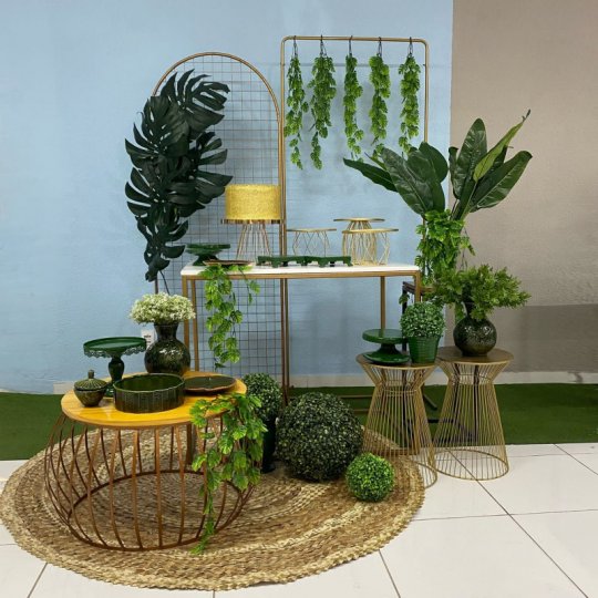 INSPIRAÇÃO COSTELA ADAO - DOURADO