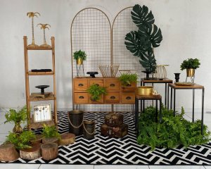 Foto de INSPIRAÇÃO DOURADA COM VERDE