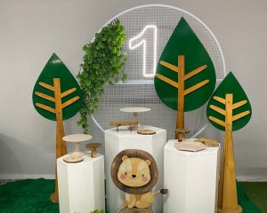 Foto de INSPIRAÇÃO LEAO - SAFARI - 01 ANO