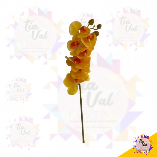 ORQUIDEA