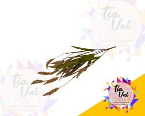 Foto de TRIGO MARROM